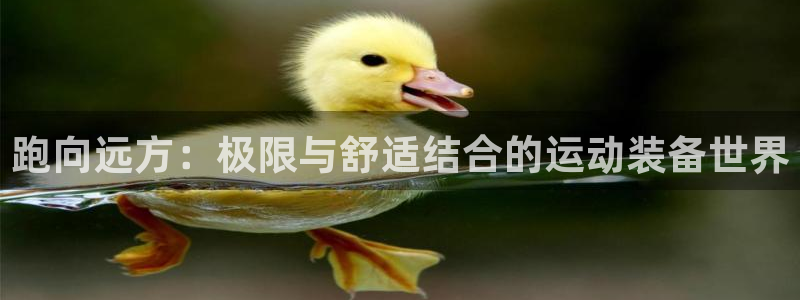 风速体育官网下载招商电话是多少：跑向远方：极限与舒适