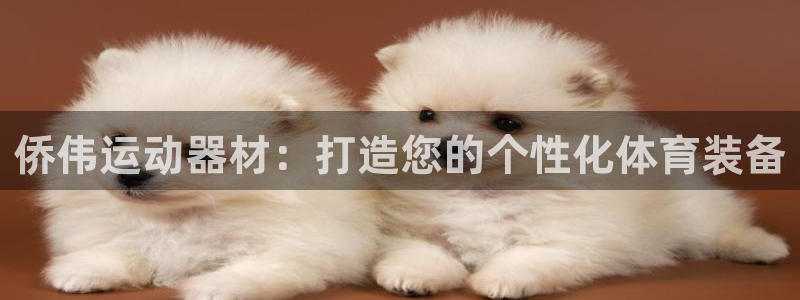 风速体育官方正版app集团E.ON：侨伟运动器材：打造您的个