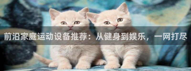 风速体育官方正版app集团官网网址：前沿家庭运动设备推荐：从