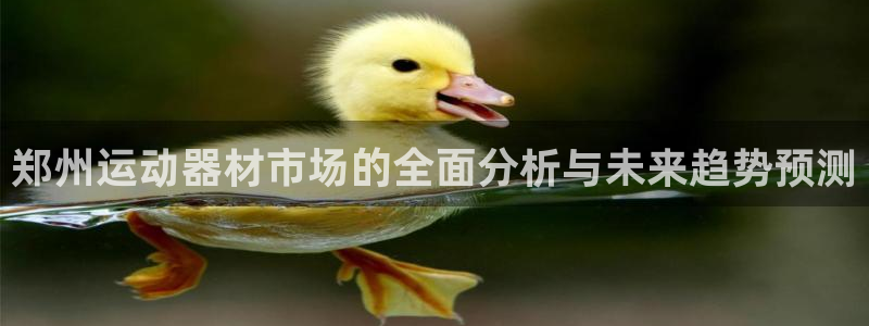 风速体育官方正版app开户：郑州运动器材市场的全面分析与未来