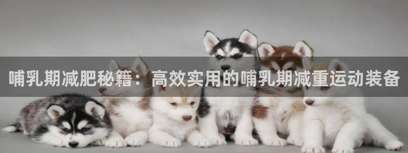 风速体育官方正版app集团简介：哺乳期减肥秘籍：高效