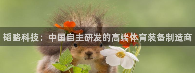风速体育官网下载招商电话号码：韬略科技：中国自主研发的高端体
