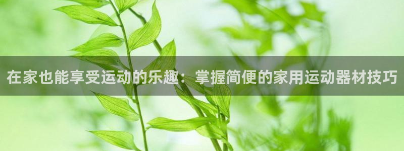 风速体育官网下载软件：在家也能享受运动的乐趣：掌握简便的家用