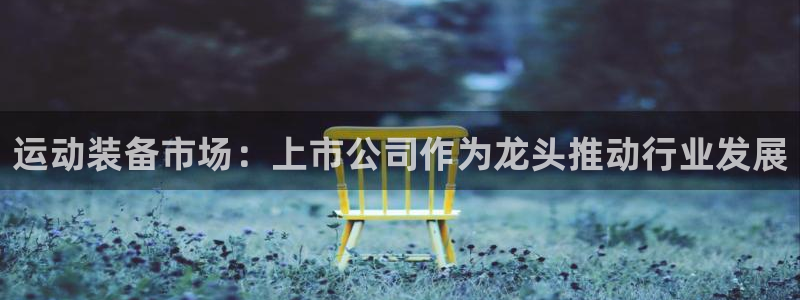 风速体育官方正版app神州：运动装备市场：上市公司作