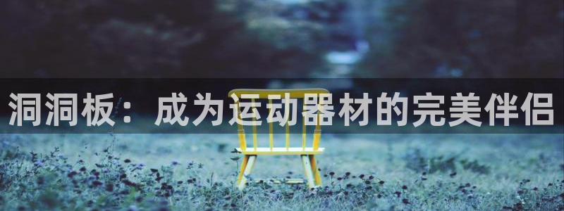 风速体育官网下载：洞洞板：成为运动器材的完美伴侣