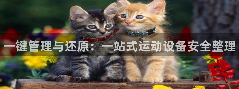 德国风速体育官方正版app集团