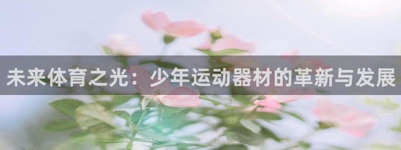 风速体育官方正版app五金厂：未来体育之光：少年运动器材的革