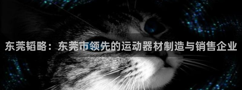 风速体育官网下载平台假的吗是真的吗吗：东莞韬略：东莞市领先的