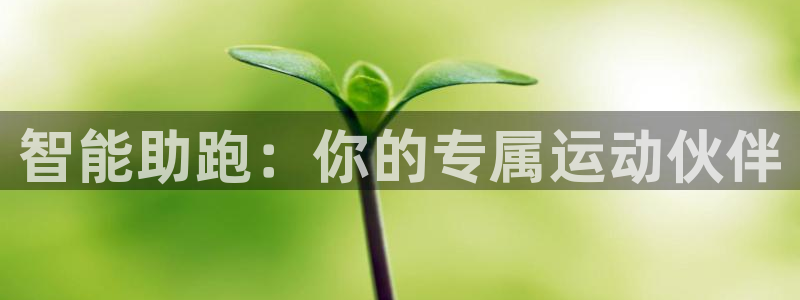 风速体育官方正版app集团官网首页