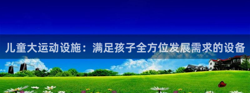 风速体育官方正版app集团简介：儿童大运动设施：满足孩子全方