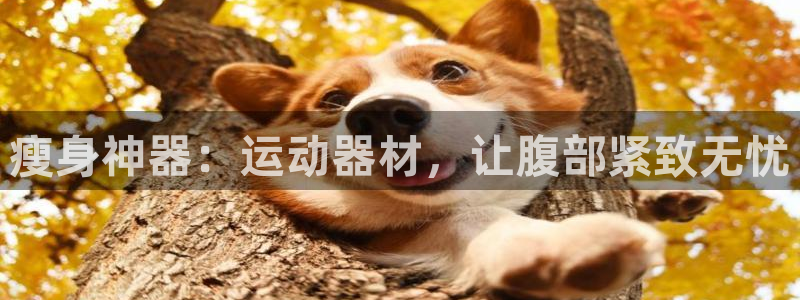 风速体育官网下载平台假的吗是真的吗吗：瘦身神器：运动器材，让